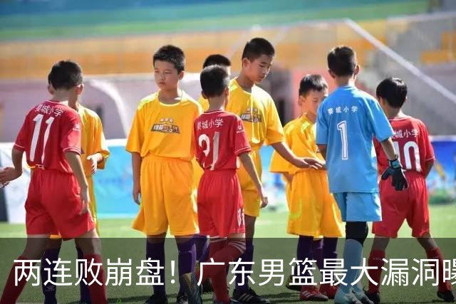两连败崩盘！广东男篮最大漏洞曝光，40岁威姆斯请缨出山救主