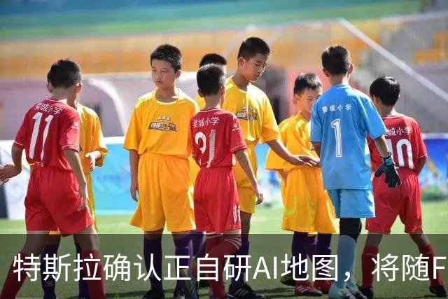 特斯拉确认正自研AI地图，将随FSD v15逐步推送