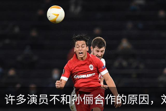 许多演员不和孙俪合作的原因，刘涛早就说过，“她太细节控了”